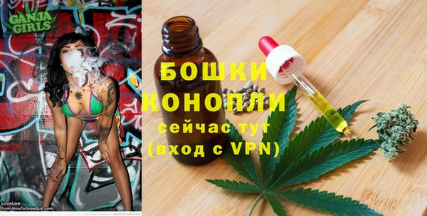 mdpv Богданович