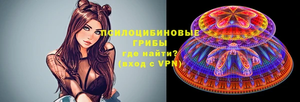 Альфа ПВП Богородск
