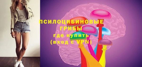 марки lsd Белокуриха