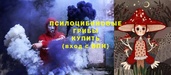 марки lsd Белокуриха