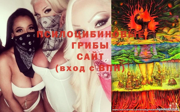 гашиш Беломорск
