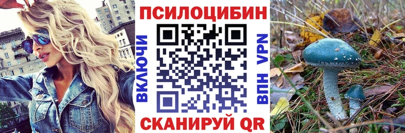 Псилоцибиновые грибы прущие грибы  как найти наркотики  даркнет телеграм  Верещагино 